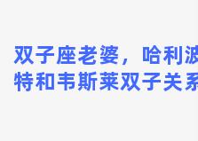 双子座老婆，哈利波特和韦斯莱双子关系