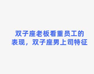 双子座老板看重员工的表现，双子座男上司特征