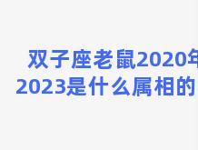 双子座老鼠2020年(2023是什么属相的年)