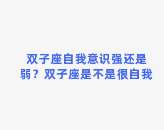 双子座自我意识强还是弱？双子座是不是很自我