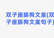 双子座舔狗文案(双子座舔狗文案句子)