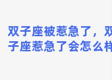 双子座被惹急了，双子座惹急了会怎么样