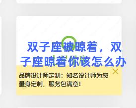 双子座被晾着，双子座晾着你该怎么办