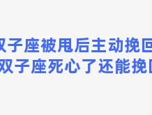 双子座被甩后主动挽回吗，双子座死心了还能挽回吗