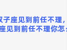 双子座见到前任不理，双子座见到前任不理你怎么办