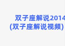 双子座解说2014(双子座解说视频)