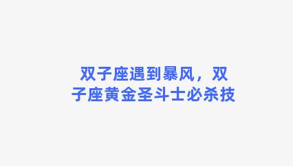 双子座遇到暴风，双子座黄金圣斗士必杀技