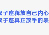 双子座释放自己内心吗(双子座真正放手的表现)