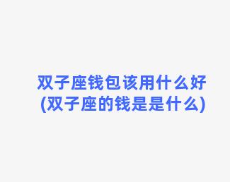 双子座钱包该用什么好(双子座的钱是是什么)