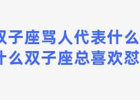 双子座骂人代表什么(为什么双子座总喜欢怼人)