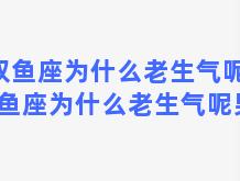 双鱼座为什么老生气呢？双鱼座为什么老生气呢男生