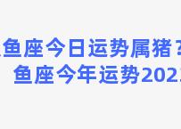 双鱼座今日运势属猪？双鱼座今年运势2023女