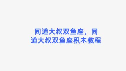 同道大叔双鱼座，同道大叔双鱼座积木教程