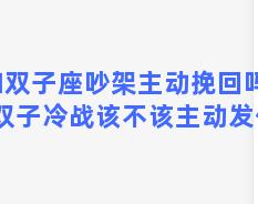 和双子座吵架主动挽回吗？跟双子冷战该不该主动发信息