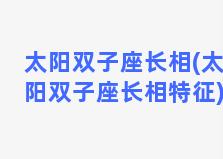 太阳双子座长相(太阳双子座长相特征)