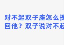 对不起双子座怎么挽回他？双子说对不起