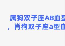 属狗双子座AB血型，肖狗双子座a型血