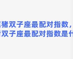 属猪双子座最配对指数，属猪双子座最配对指数是什么