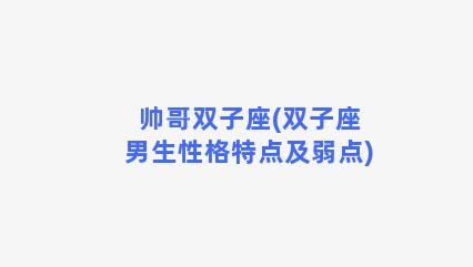 帅哥双子座(双子座男生性格特点及弱点)