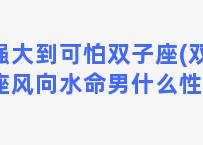 强大到可怕双子座(双子座风向水命男什么性格)