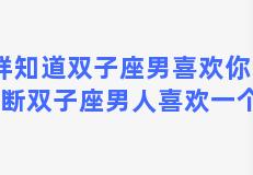 怎样知道双子座男喜欢你？如何判断双子座男人喜欢一个女人