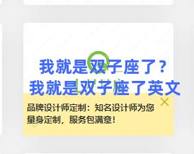 我就是双子座了？我就是双子座了英文