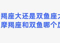 摩羯座大还是双鱼座大全？摩羯座和双鱼哪个厉害