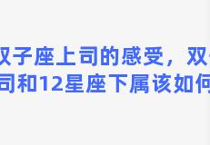 有双子座上司的感受，双子座上司和12星座下属该如何相处