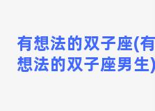 有想法的双子座(有想法的双子座男生)