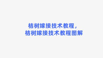 桔树嫁接技术教程，桔树嫁接技术教程图解