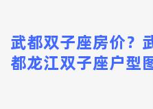 武都双子座房价？武都龙江双子座户型图