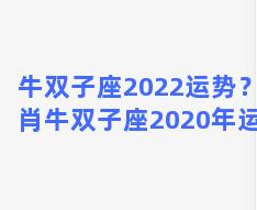 牛双子座2022运势？生肖牛双子座2020年运势