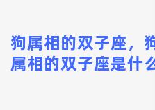 狗属相的双子座，狗属相的双子座是什么