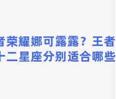 王者荣耀娜可露露？王者荣耀：十二星座分别适合哪些英雄