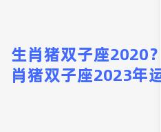 生肖猪双子座2020？生肖猪双子座2023年运势