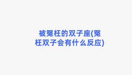 被冤枉的双子座(冤枉双子会有什么反应)