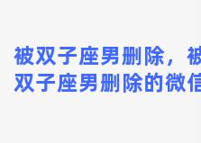 被双子座男删除，被双子座男删除的微信