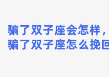 骗了双子座会怎样，骗了双子座怎么挽回